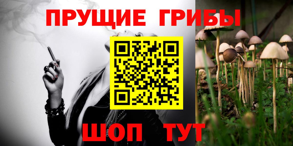 Псилоцибиновые грибы Psilocybine cubensis  Вход с VPN  Славянск-на-Кубани  Галлюциногенные грибы прущие грибы 